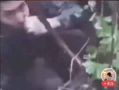 太燃了！这才是中国军人的血性！最近网上疯传的一段视频看得人热血沸腾——咱们解放军