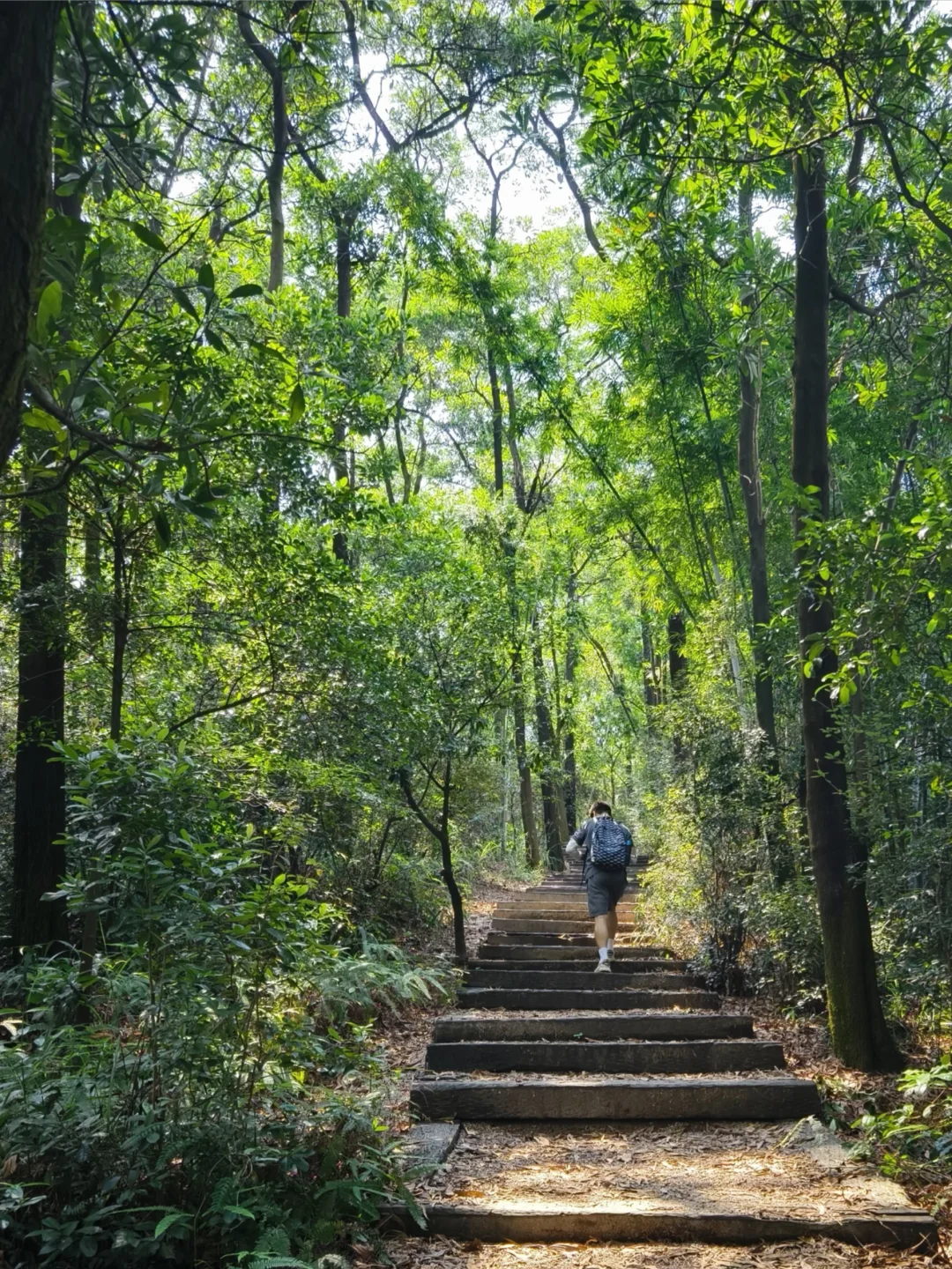 在广州黄埔，这条步道仿佛让夏天不再酷热☀️