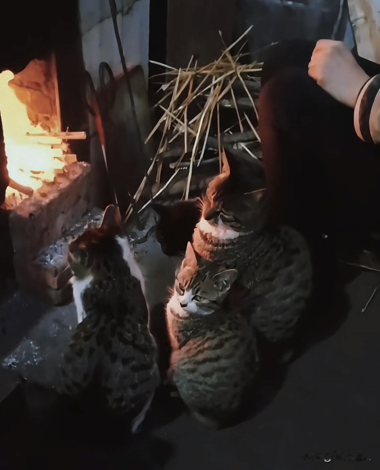 新思维：最美的日子，与自己和好如初人生，不必揪着过往苛责，也别因未来焦虑。放