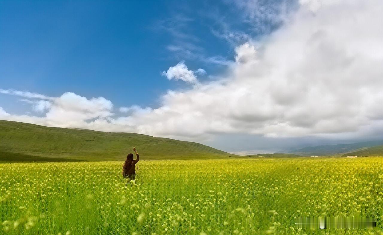 晒图笔记大赛当年油菜花园真好看