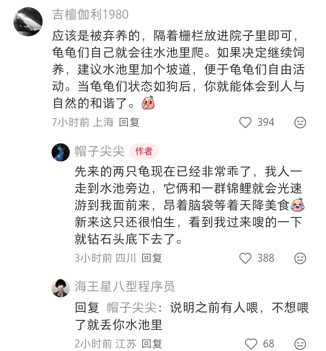 这些弃养乌龟的，还往大户人家弃养