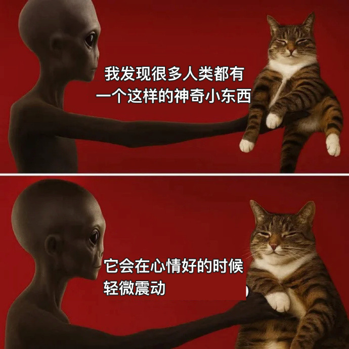 神奇震震小玩具/r/Catmemes/版​​​​