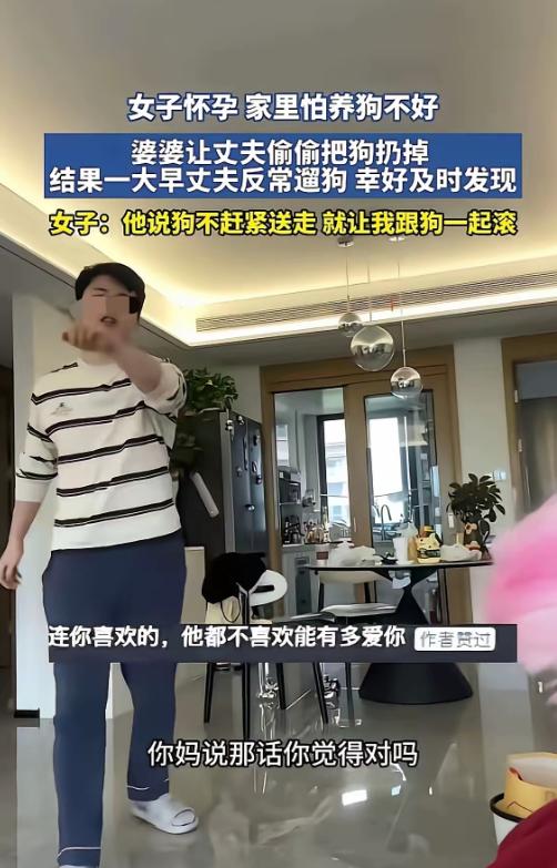 “就算不要孩子，我也绝不会送走我的狗！”“那你干脆跟狗过日子！狗不送走，你就跟