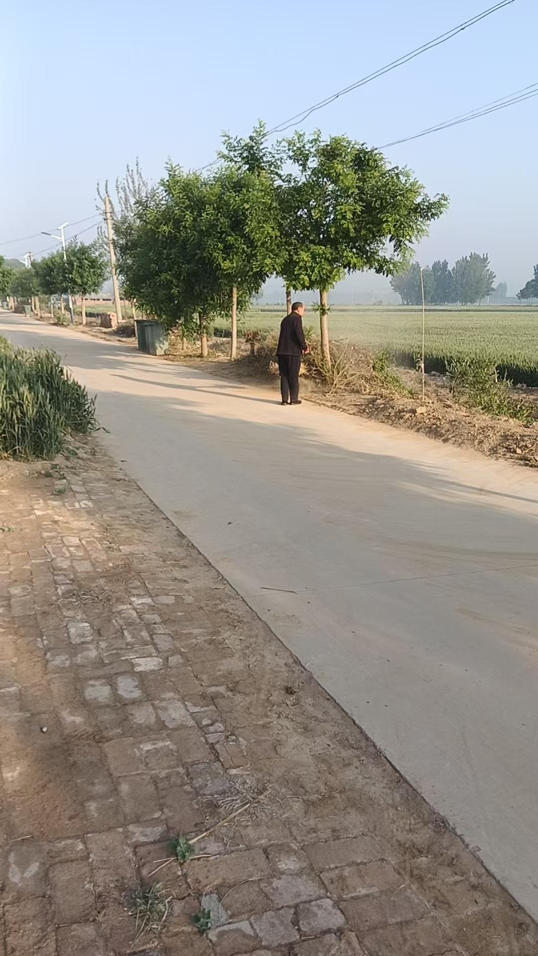 邻居父亲脑梗后，落下了走路一条腿不方便的毛病。于是邻居给他买了一辆电动三轮，