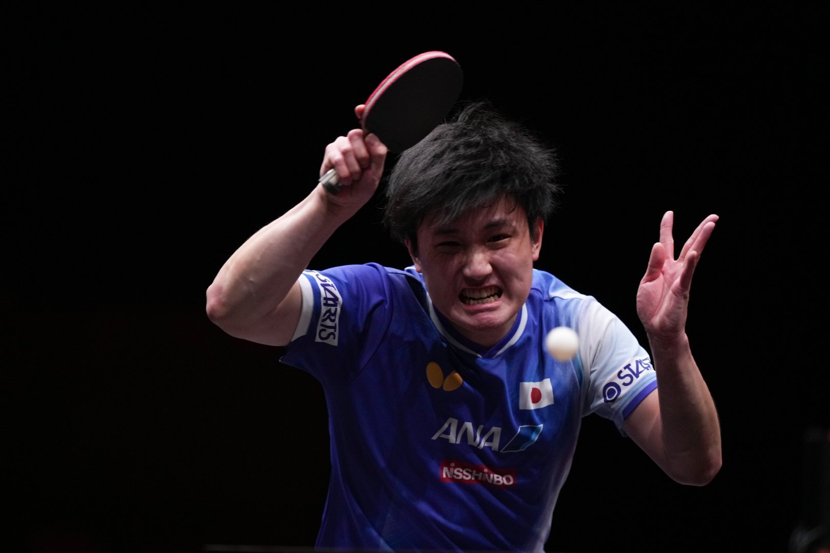 张本智和张本智和斩获WTT香港总决赛男单冠军北京时间12月14日，WTT香港