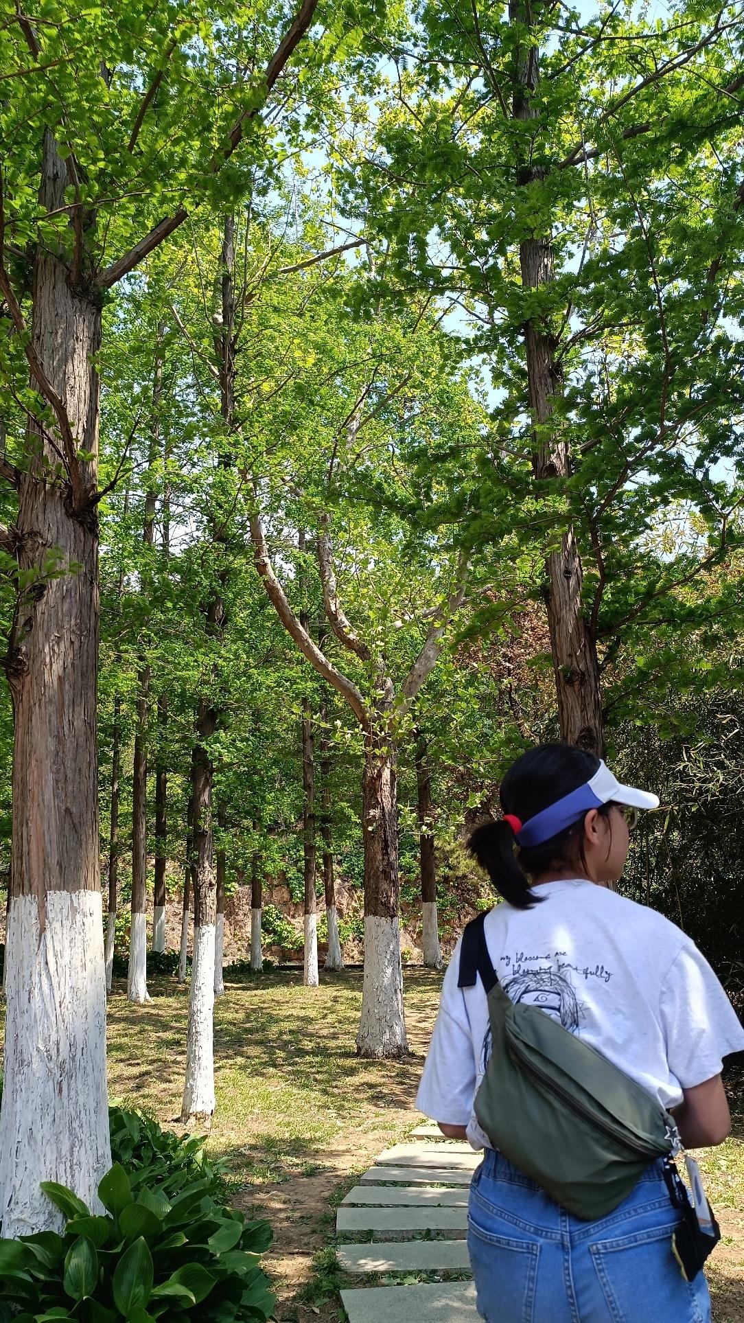 5月6日假期Day7/8🧮总结：阅读类171分钟，其中漫画1.8小时；家