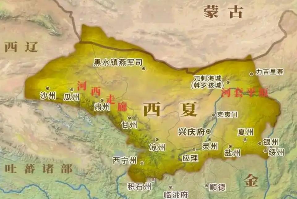 西夏国在历史长河中很神秘，但本身也没有什么粉丝，所以没人愿意了解。从881年李思