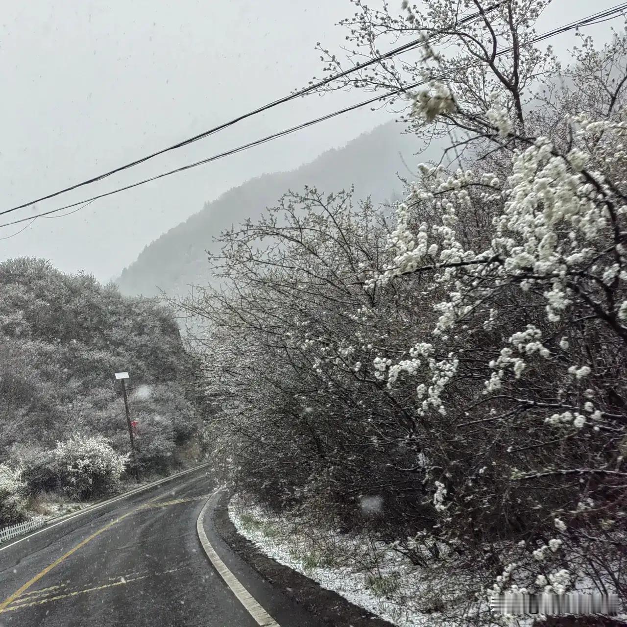 夏天的雪文11珂芃·原创夏天的兰州本该是立夏时节天气从高温天气30℃直