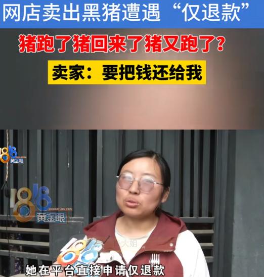 浙江杭州，一女子在线上卖土黑猪，一买家以630元/头的价格，在女子的网店下单了3