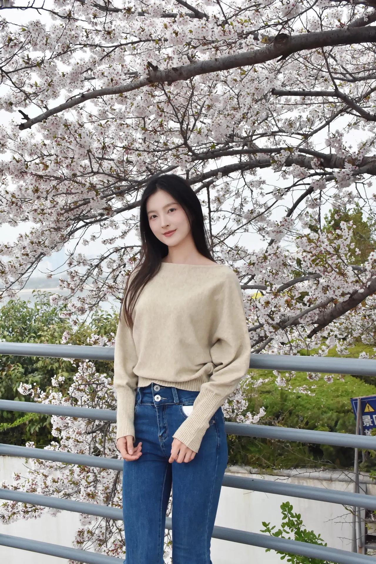 樱花树下，温柔少女，春日时光