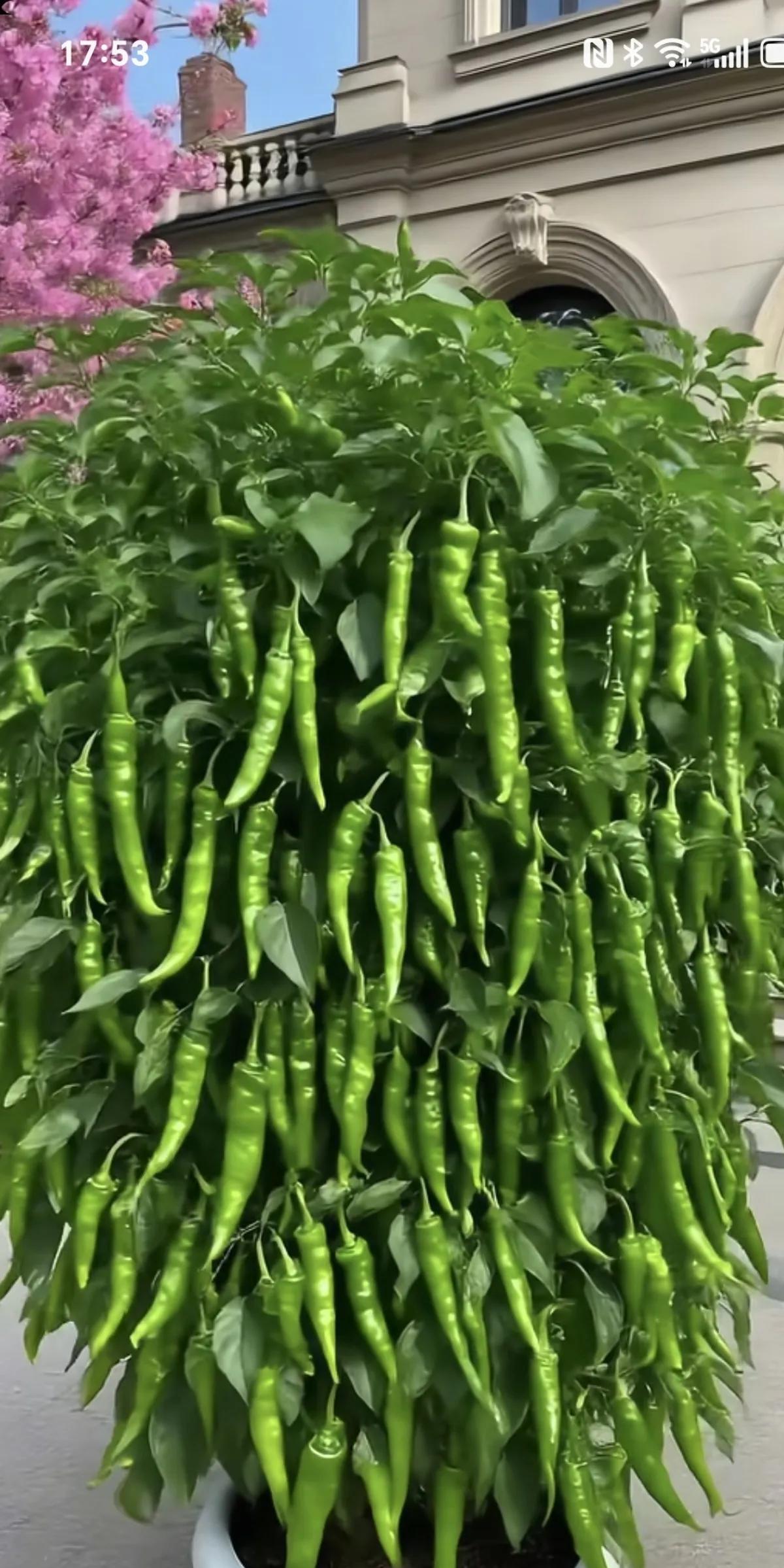 朋友属狗的，和我同年。她也是孩子很小的时候就离婚了，自己带着两个女儿生活，她离婚