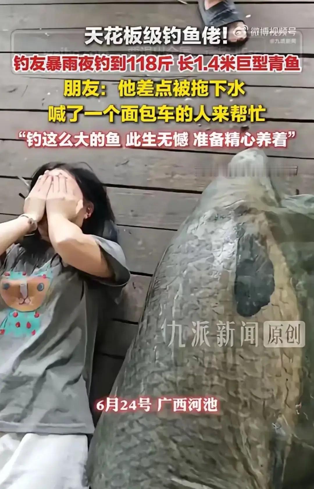 6月24日，广西河池的钓友暴雨夜钓到118斤大型青鱼，青鱼长达1.4米，钓友还差