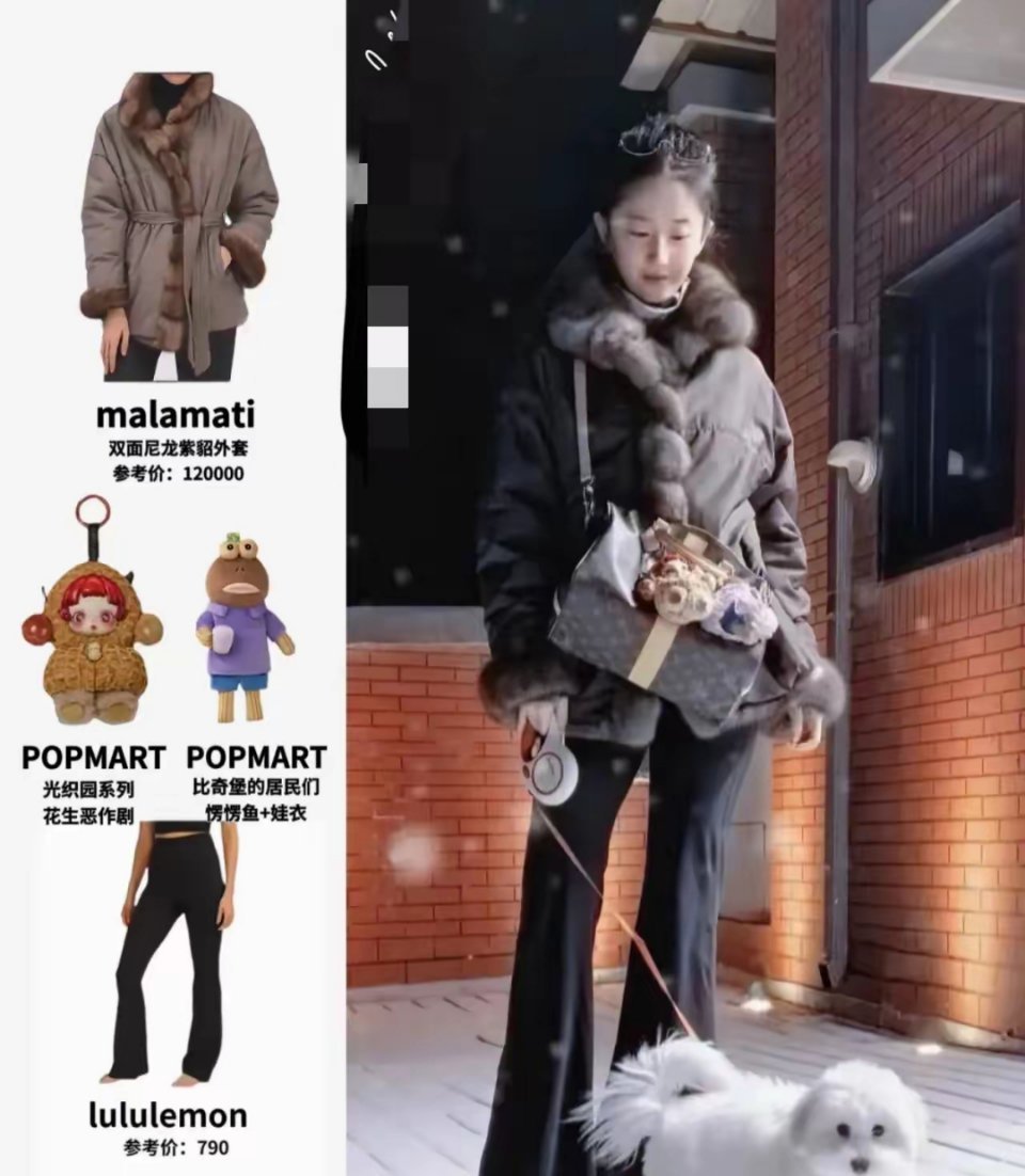 刘亦菲雪夜遛狗，身穿12万外套，模样清纯甜美似十八岁女大学生