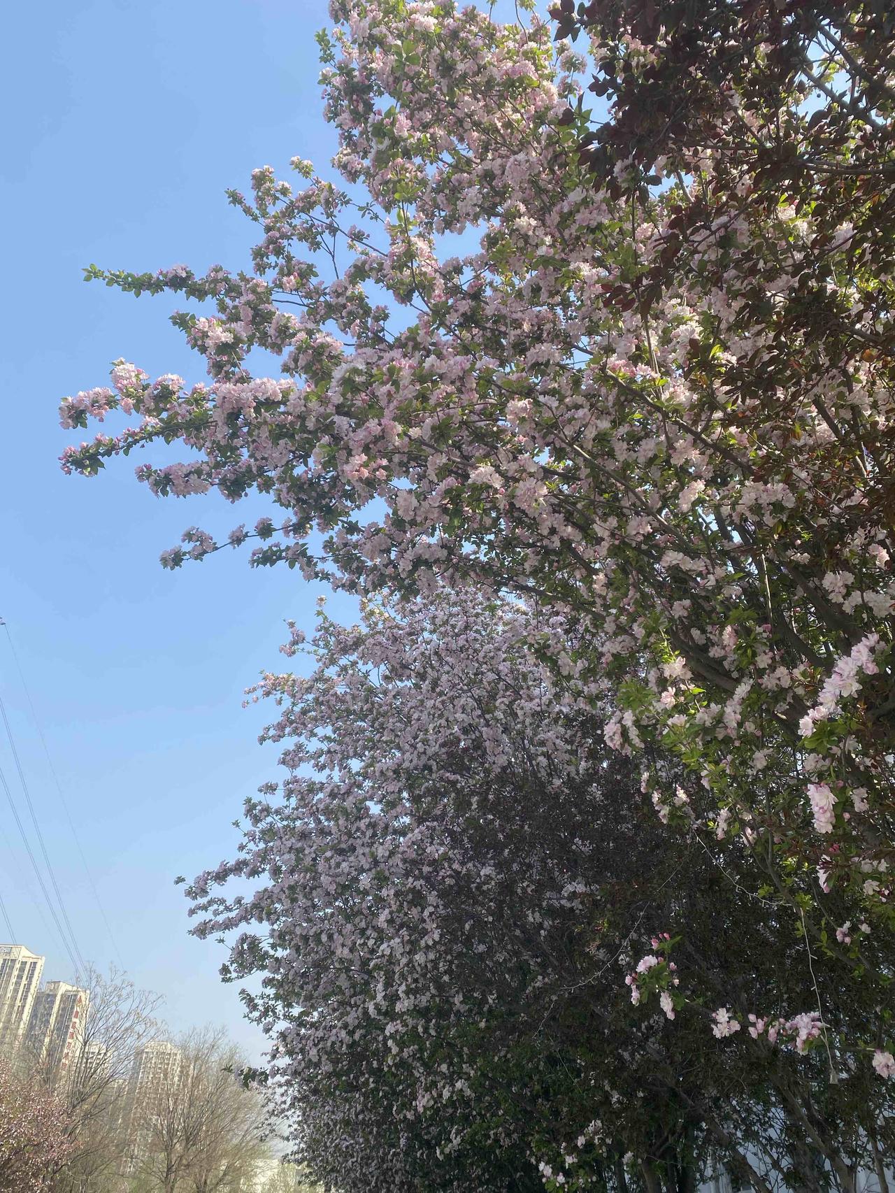 怎么算物质极大丰富？在没有私产的原始社会，人类一无所有却拥有一切的时候，就是