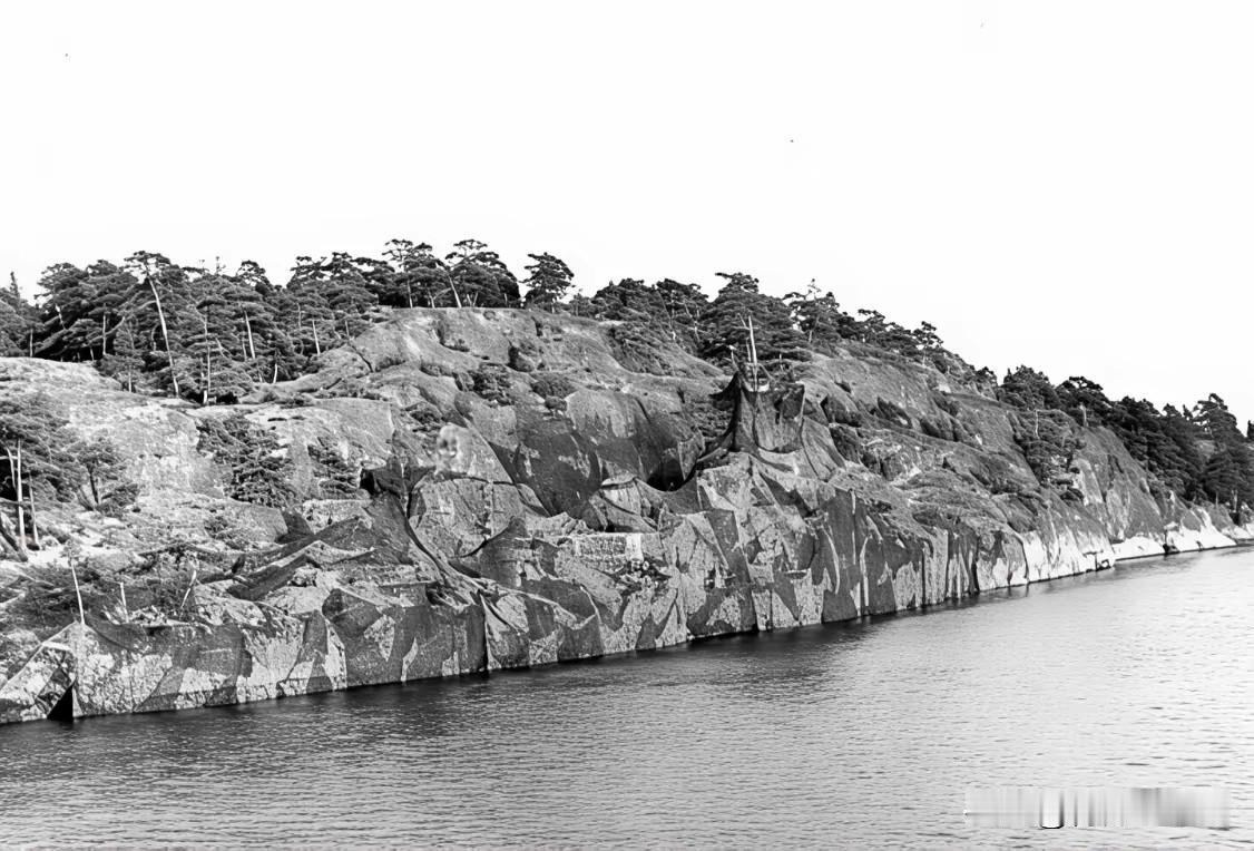 能看出来是军舰伪装的吗[笑着哭]