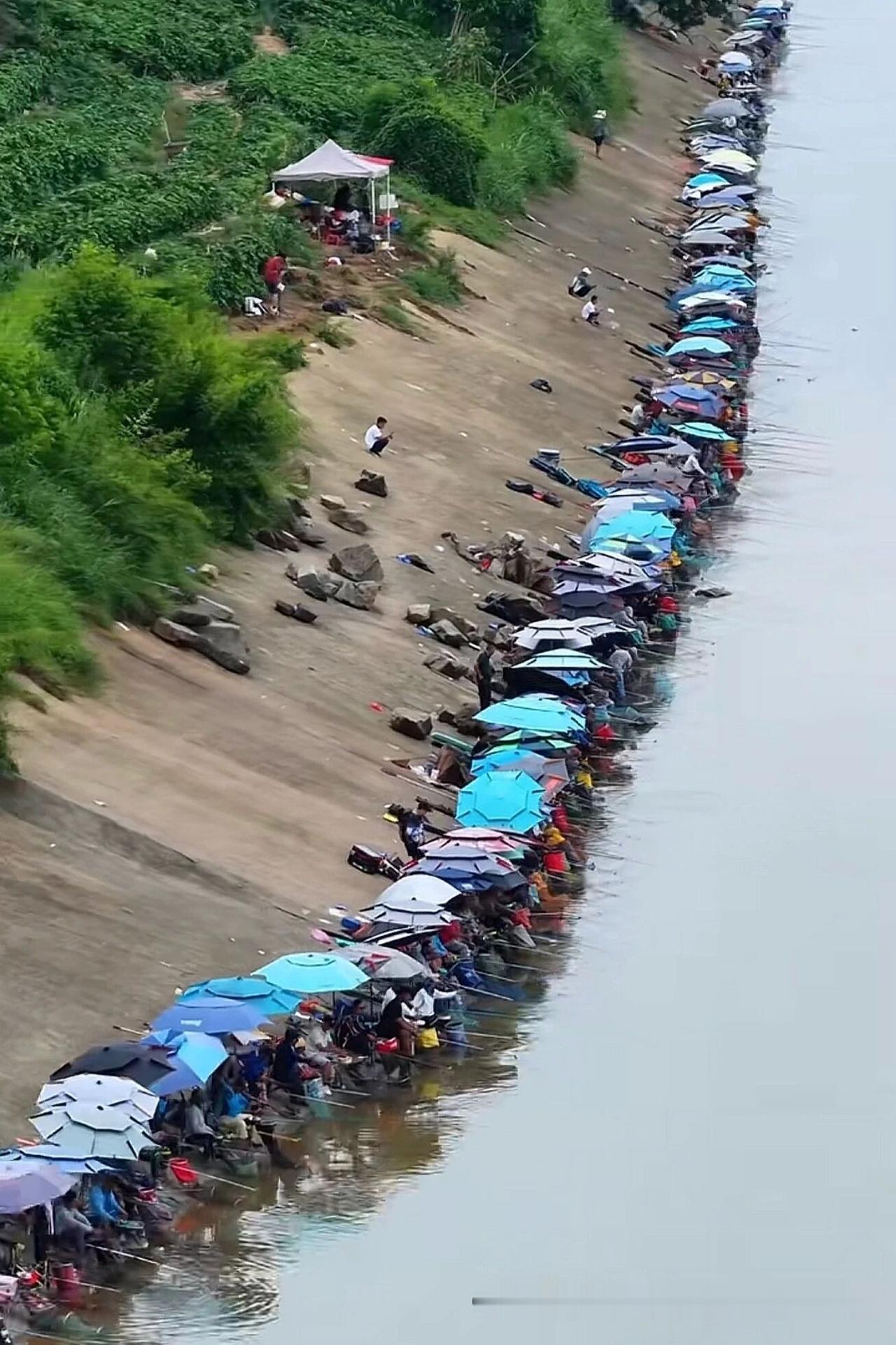 这条河相当于鱼的小吃一条街这钓鱼🎣阵仗是真壮观[捂脸哭]