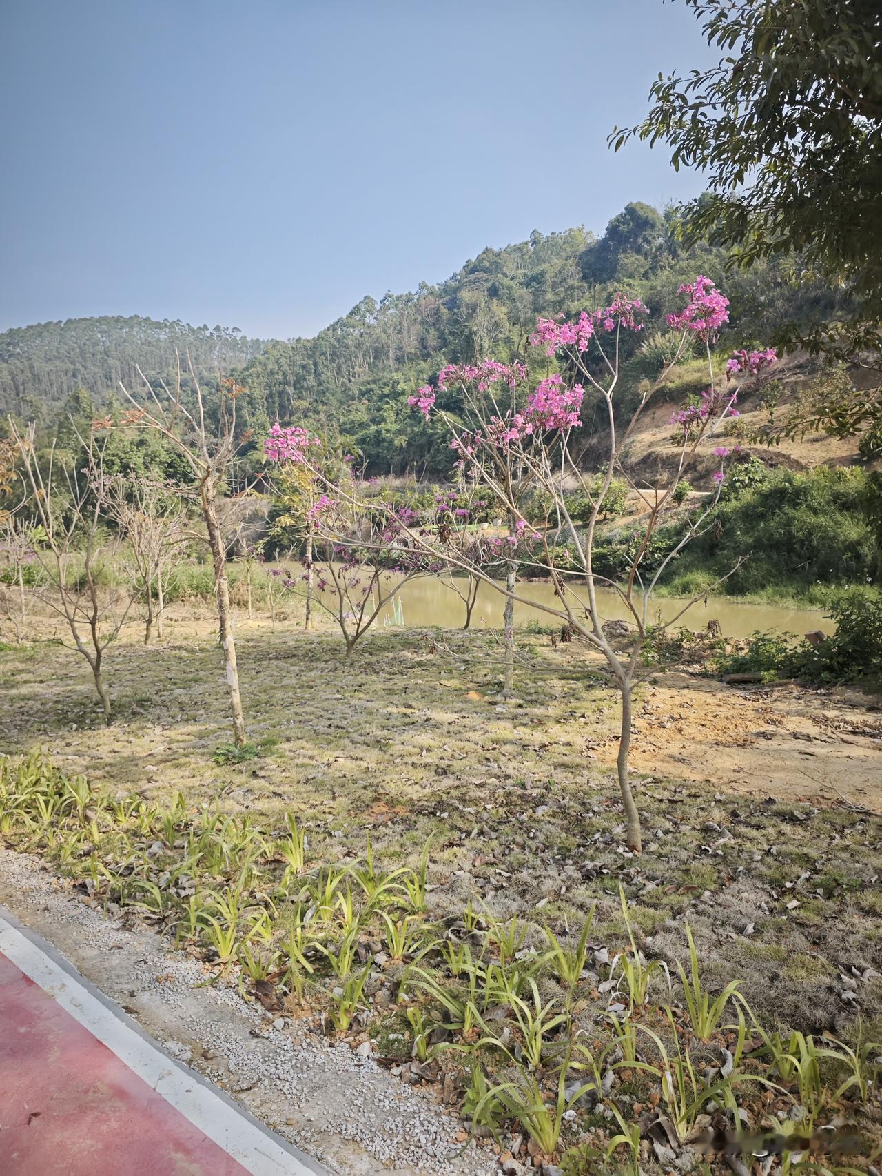 我现在还记忆犹新，小时候的他对我们种种不好，这原生家庭太难了，都怪我妈当初眼瞎找