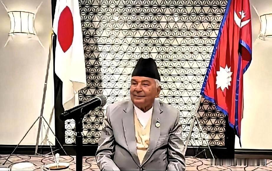 尼泊尔总统去日本这趟，真是给全世界的小国上了一堂“扎心课”：别拿大国的客套话当
