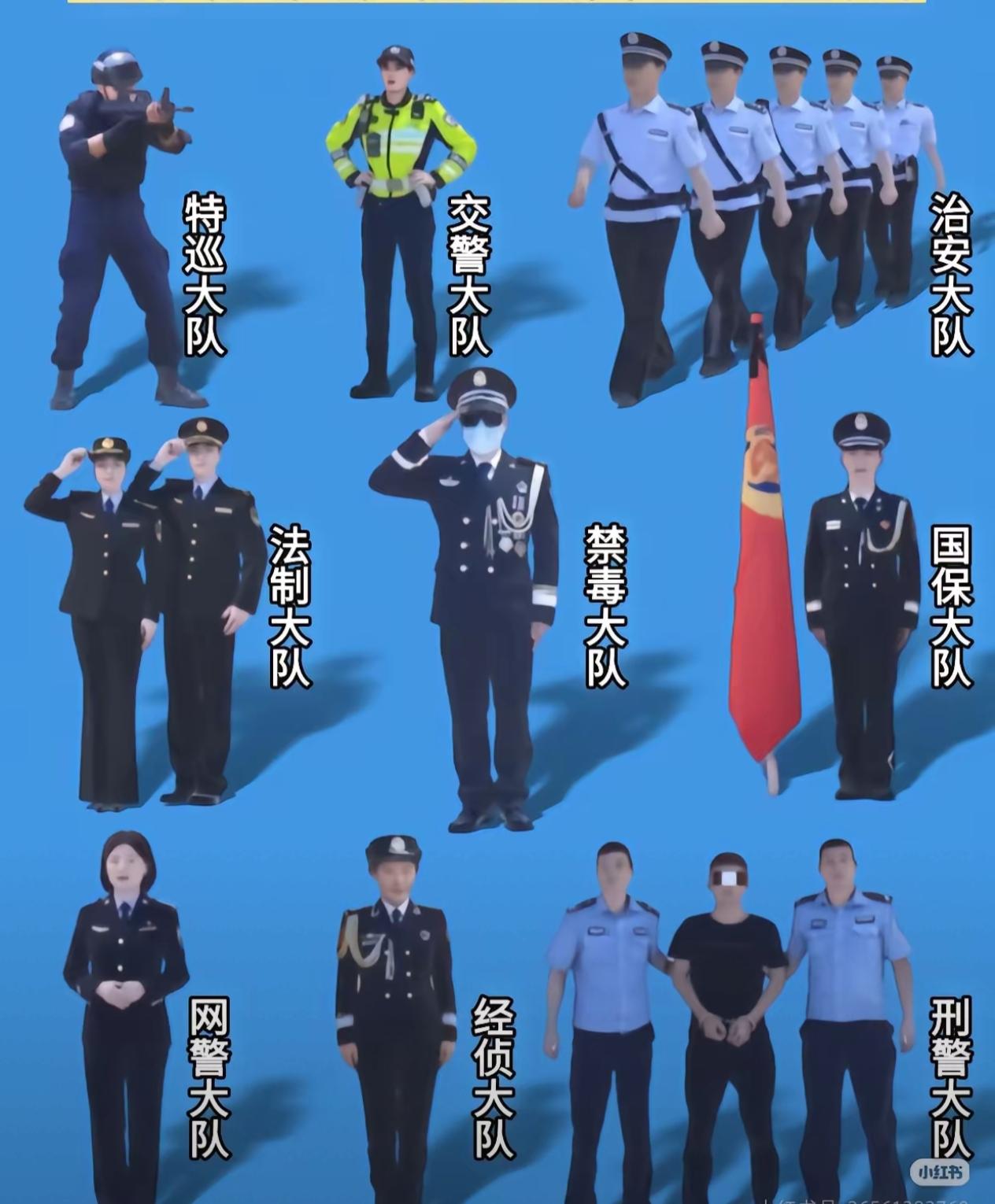 原来公安系统里设置这么多的大队，这张图片都说清楚了:1、特巡大队；​2、交警