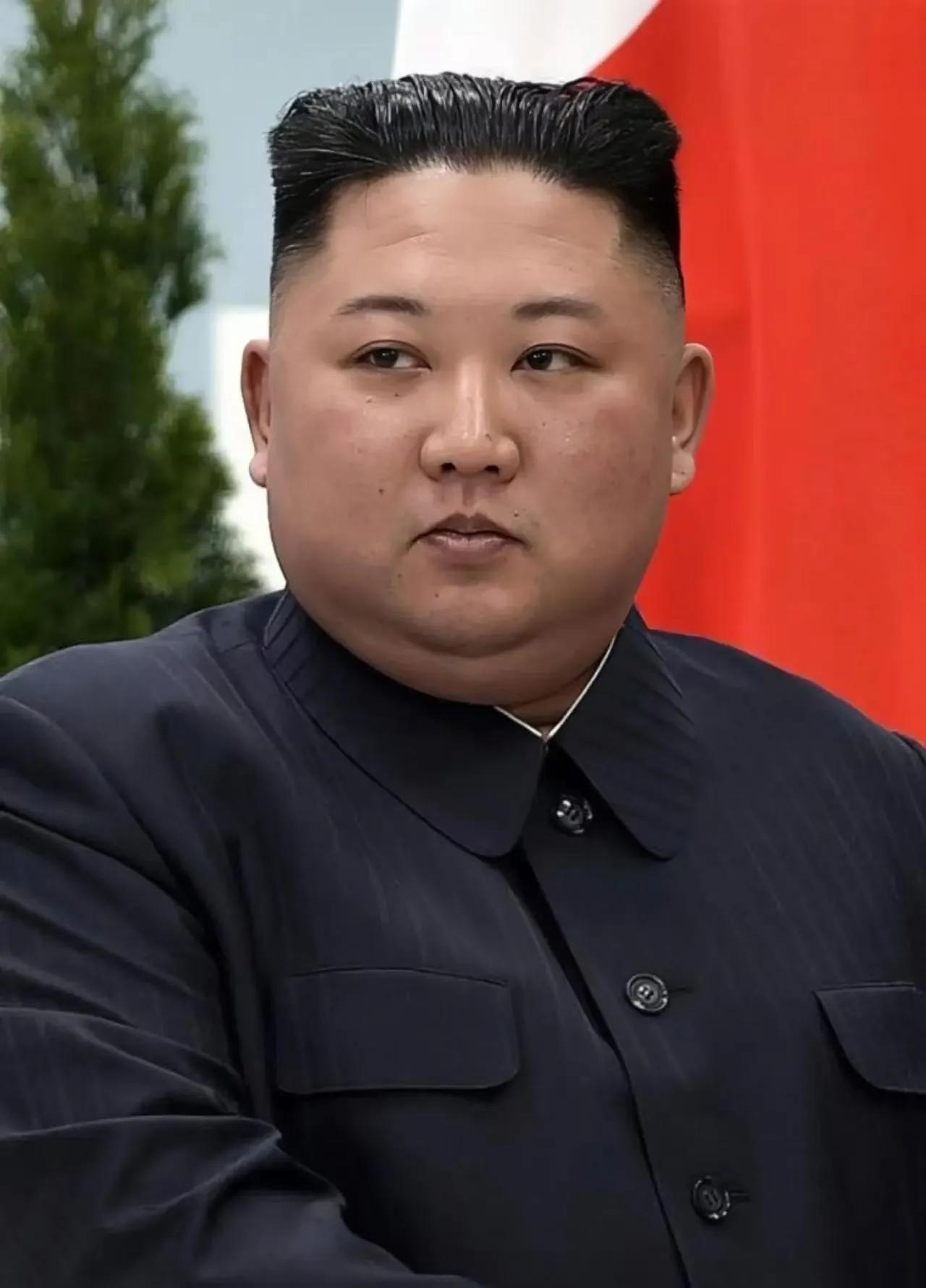 就在刚刚朝鲜正式宣布了9月13日，朝鲜劳动党中央委员会副部长金与正发