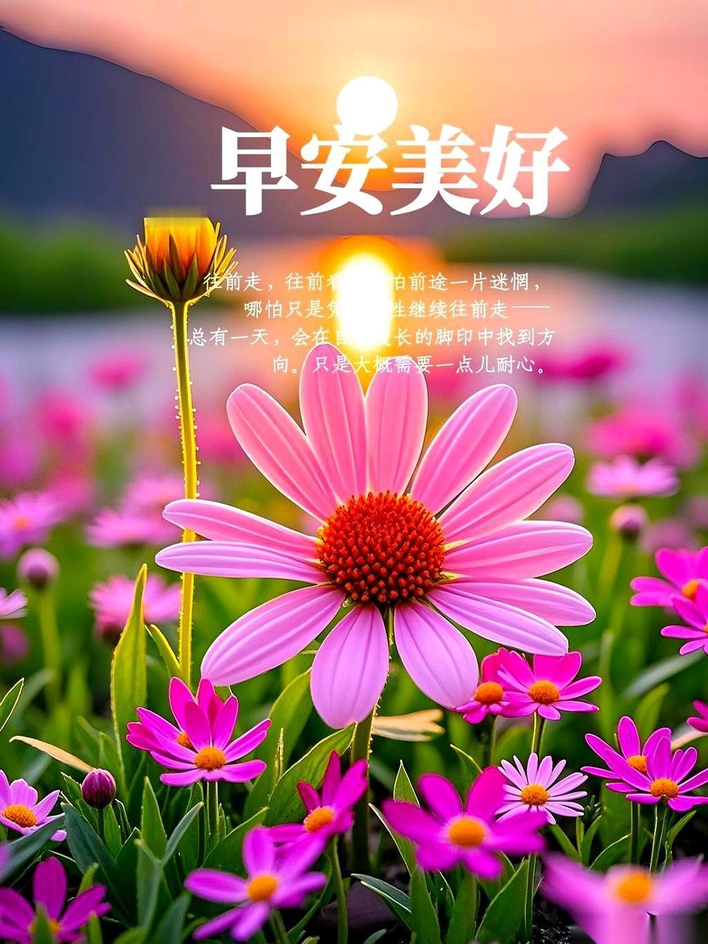 我跟你讲，千万别小看那些看着有点“傻”，成天嘻嘻哈哈的人。你以为他没心没肺，其