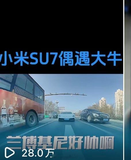 徐洁云打假小米SU7网传图小米在网上遭太多造谣了网上的舆论也是，听风就是
