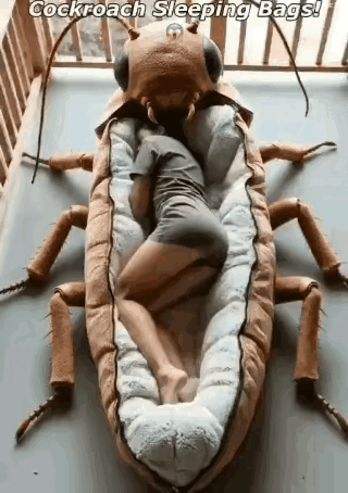 创意不错你敢睡吗？🌚