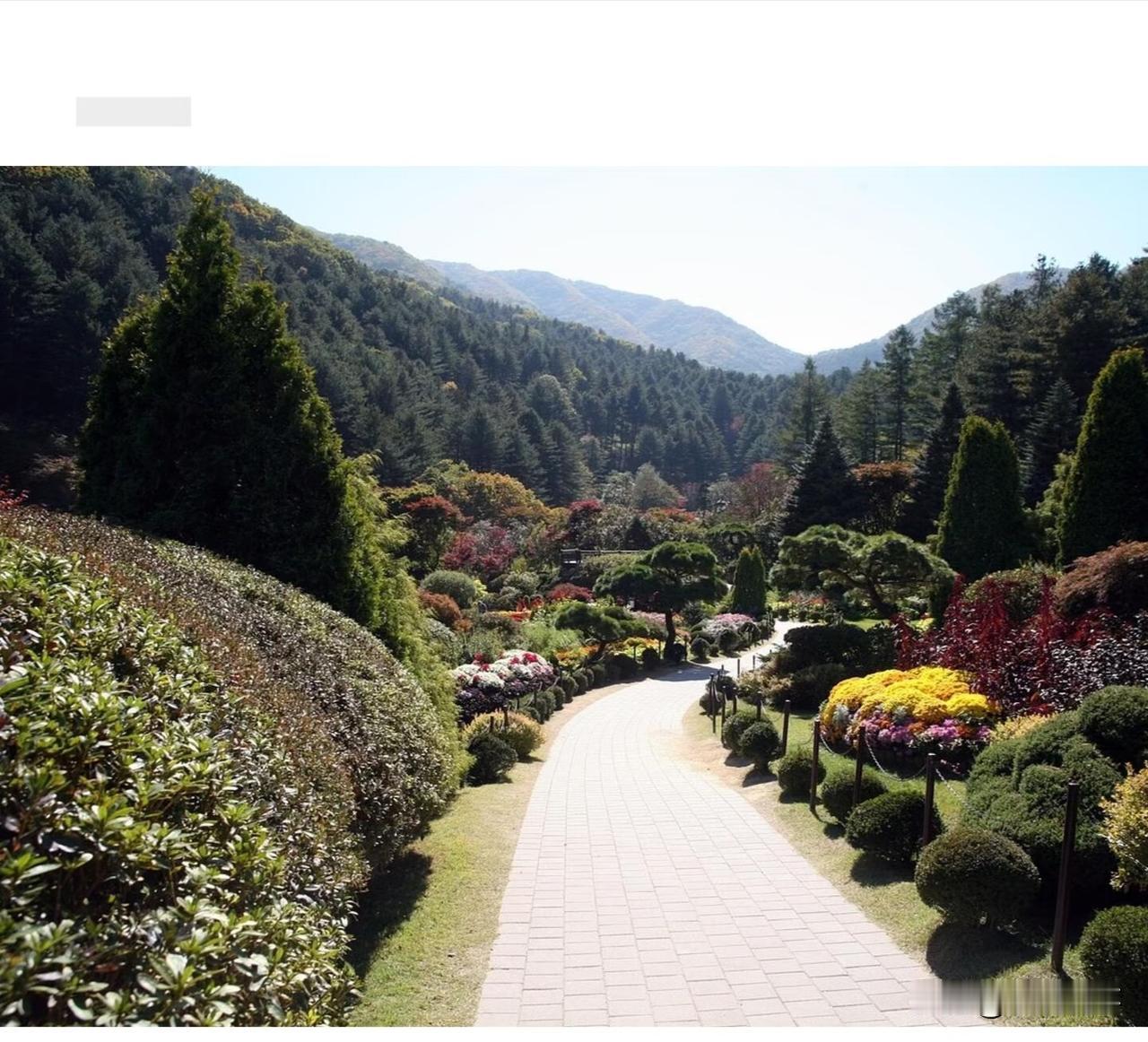 邻居老周前几天蹲在村口抽烟，眉头皱得能夹死苍蝇。他爹快九十了，最近总念叨身后事