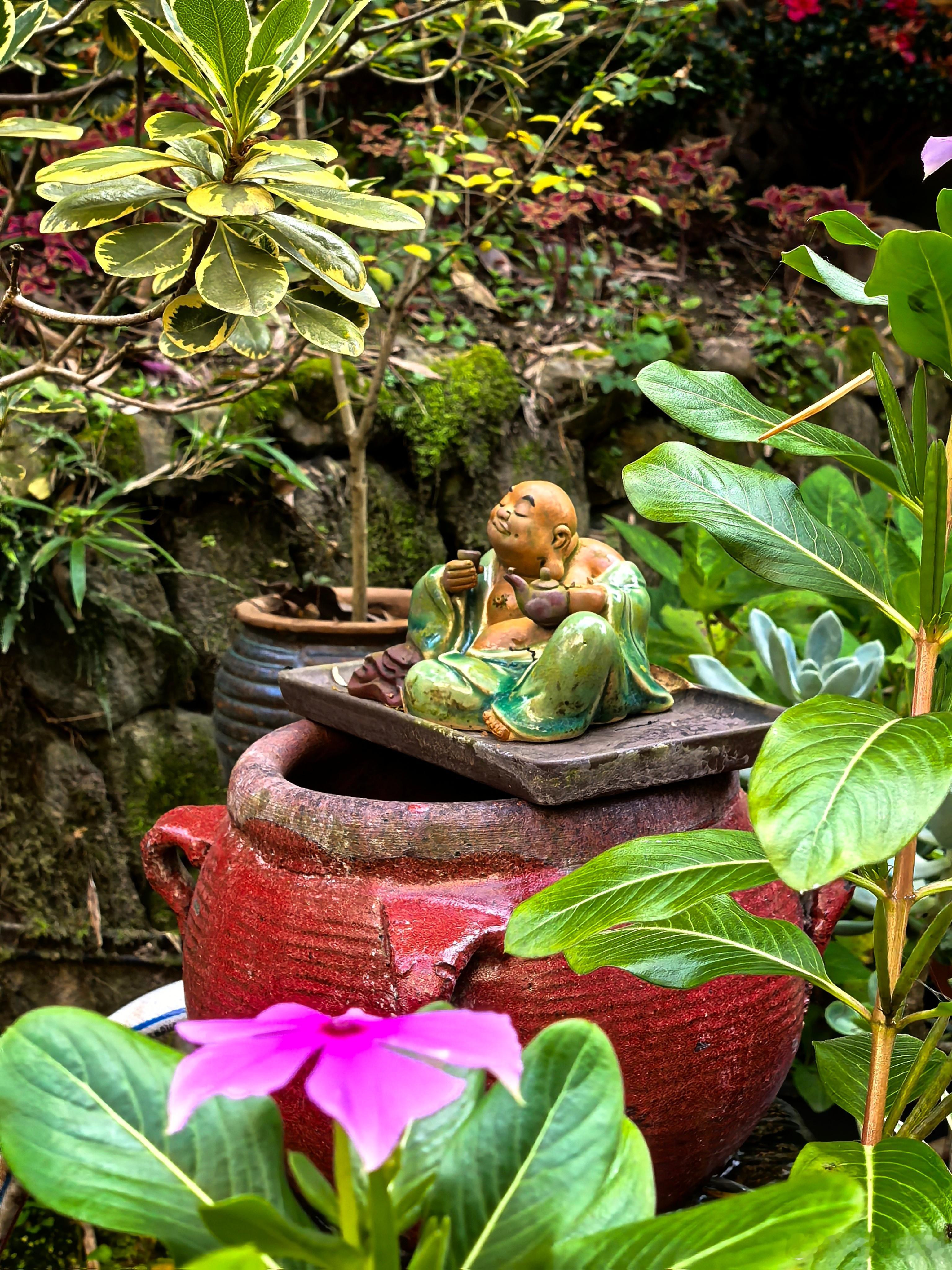 上完菜，我说二师兄要开动了。小朋友问，为啥二师兄它们不吃唐僧？我说，那是战备粮，