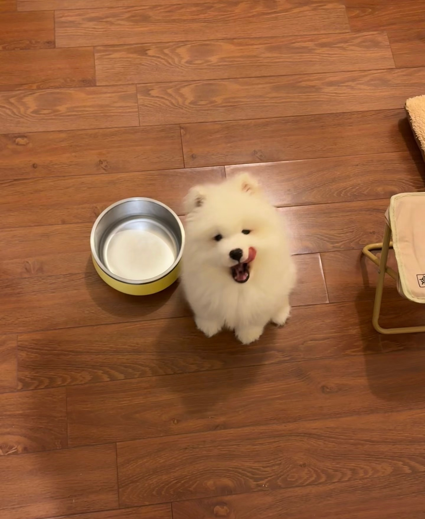 早饭好了吗！我已经准备好炫了耶