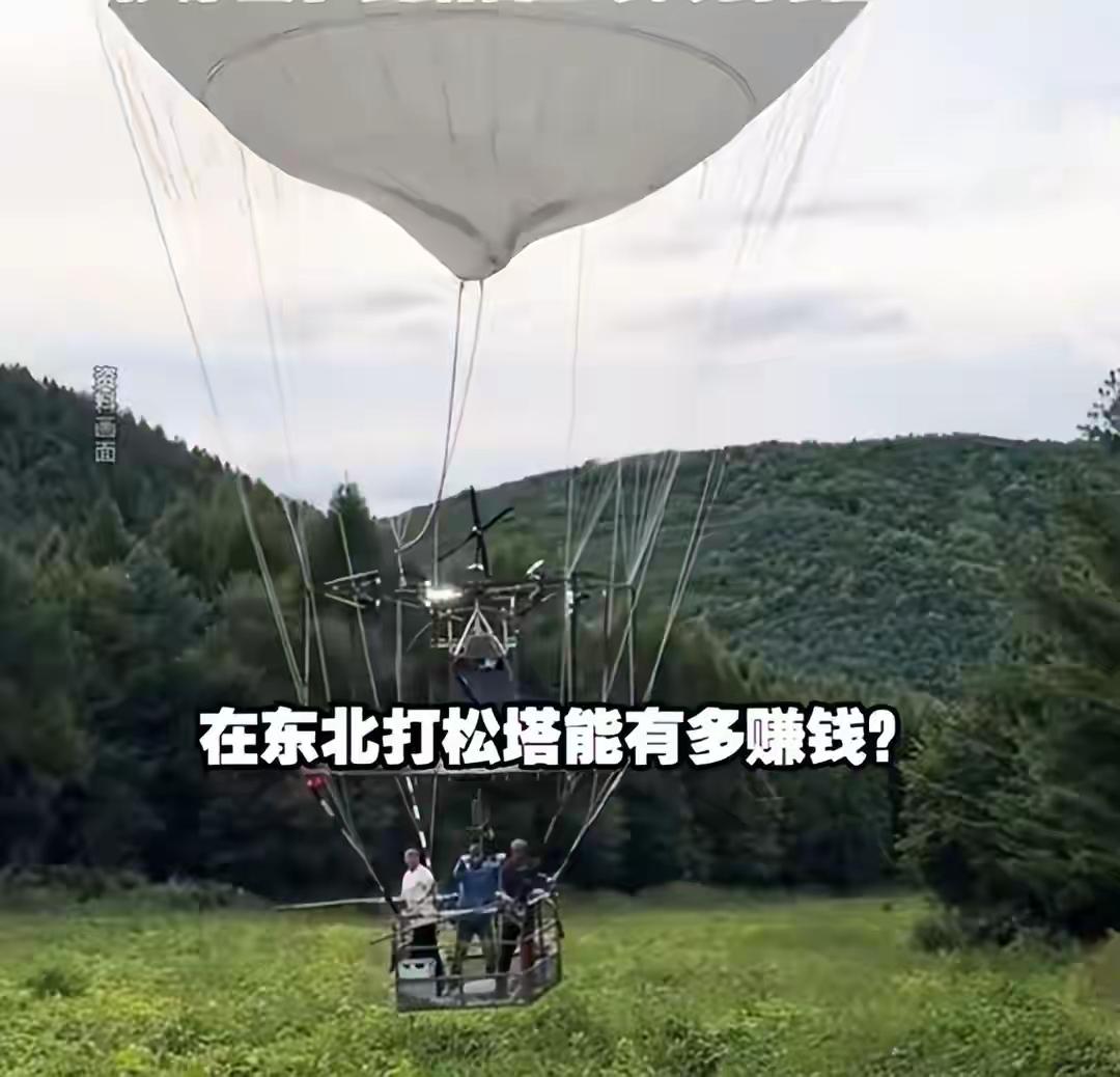 两个月赚20万！东北打松塔爆火，高薪背后全是拿命在搏🔥吉林延边，打松塔工
