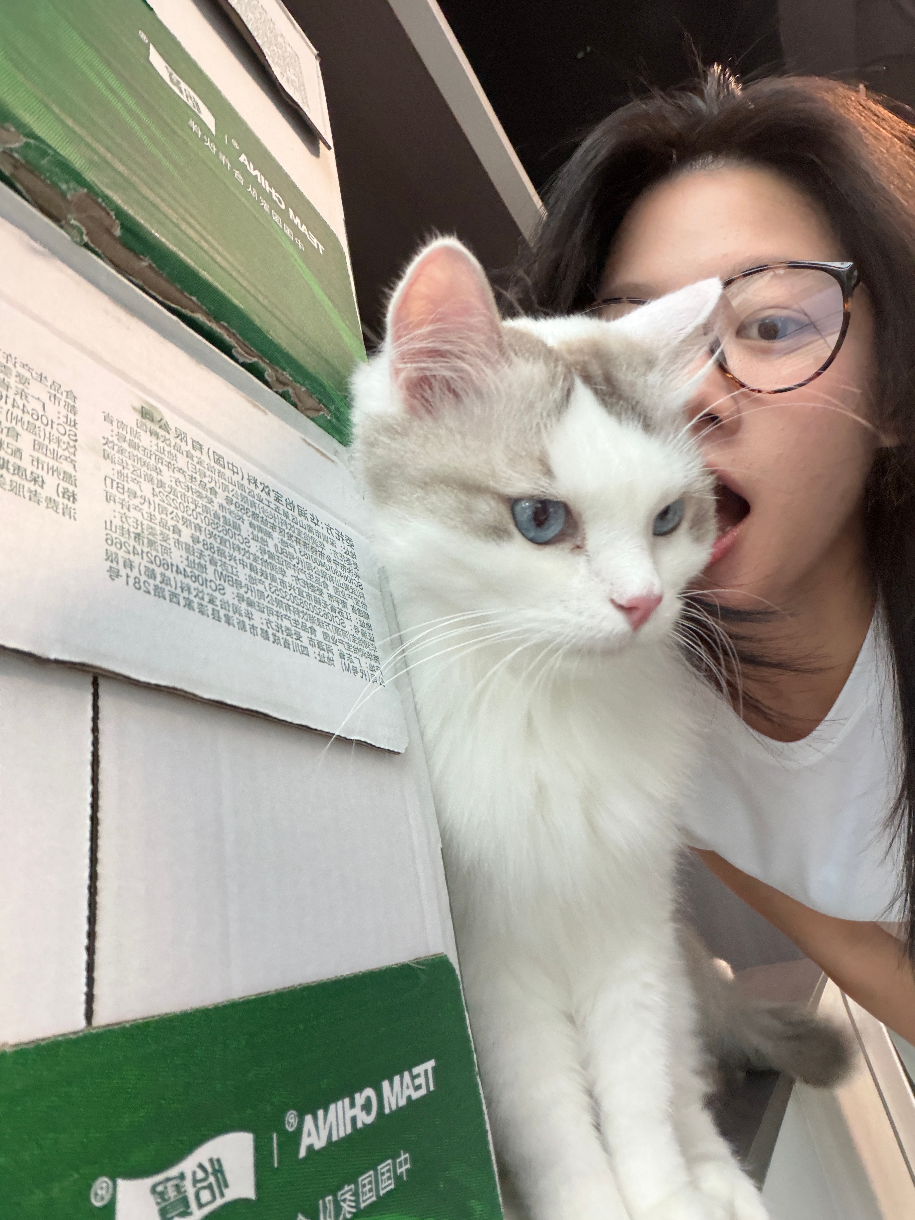 今天来公司：人不能太自信高估了我驯服小猫的本事，低估了它拿捏我的手段！自以为掌控