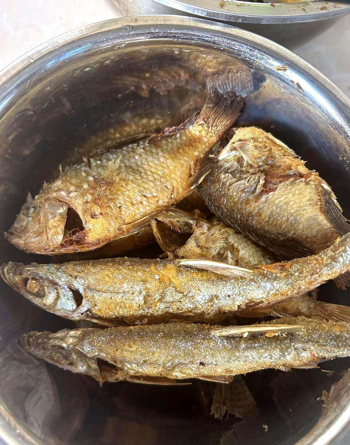 年轻人钓的不是鱼，是暂时失联的自由。现在全国有1.4亿钓鱼佬，25到44岁的