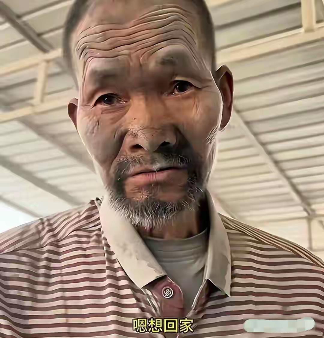以前光知道有黑砖窑，哪知道还有黑水泥店？志愿者在河北保定一家水泥店，发现了