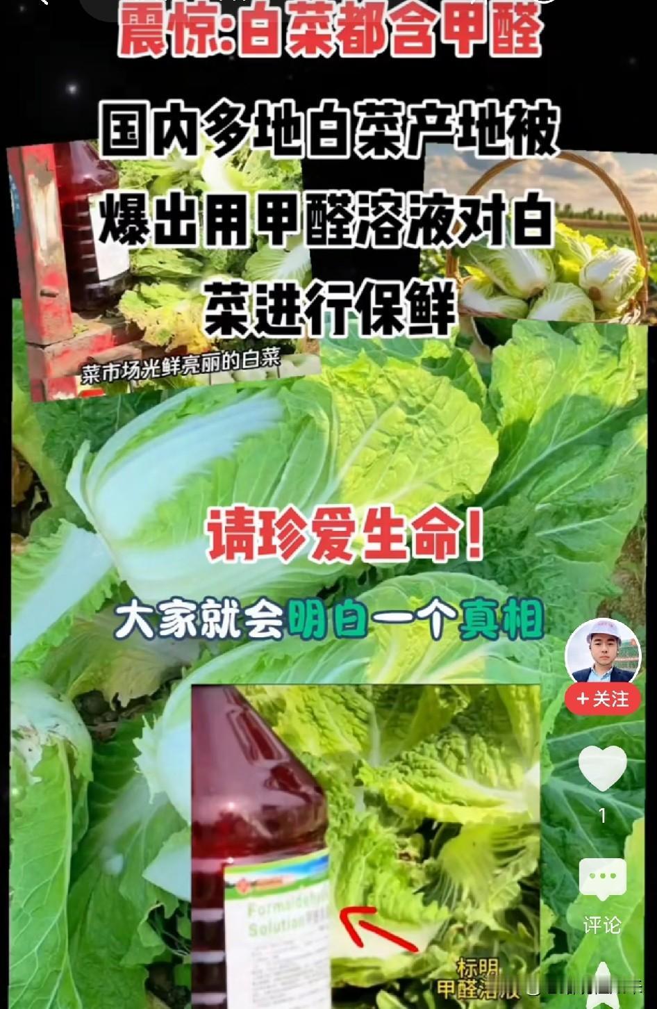 刚扒拉两口饭，手机上刷到一条视频，我直接把筷子摔了河北张家口康保县，大白菜产
