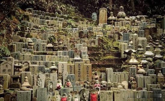 日本政府拒绝了在日穆斯林要求土葬的所有要求。该议案在国会讨论中遭到顽强的抵制，