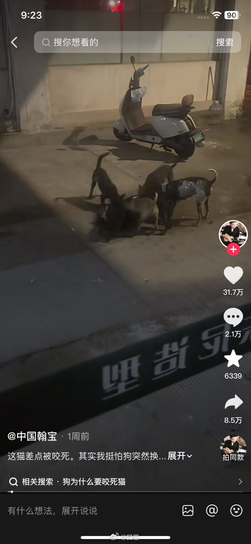 第一次给咪捐款🥹希望三福以后的生活都很好[哭哭][哭哭]​​​