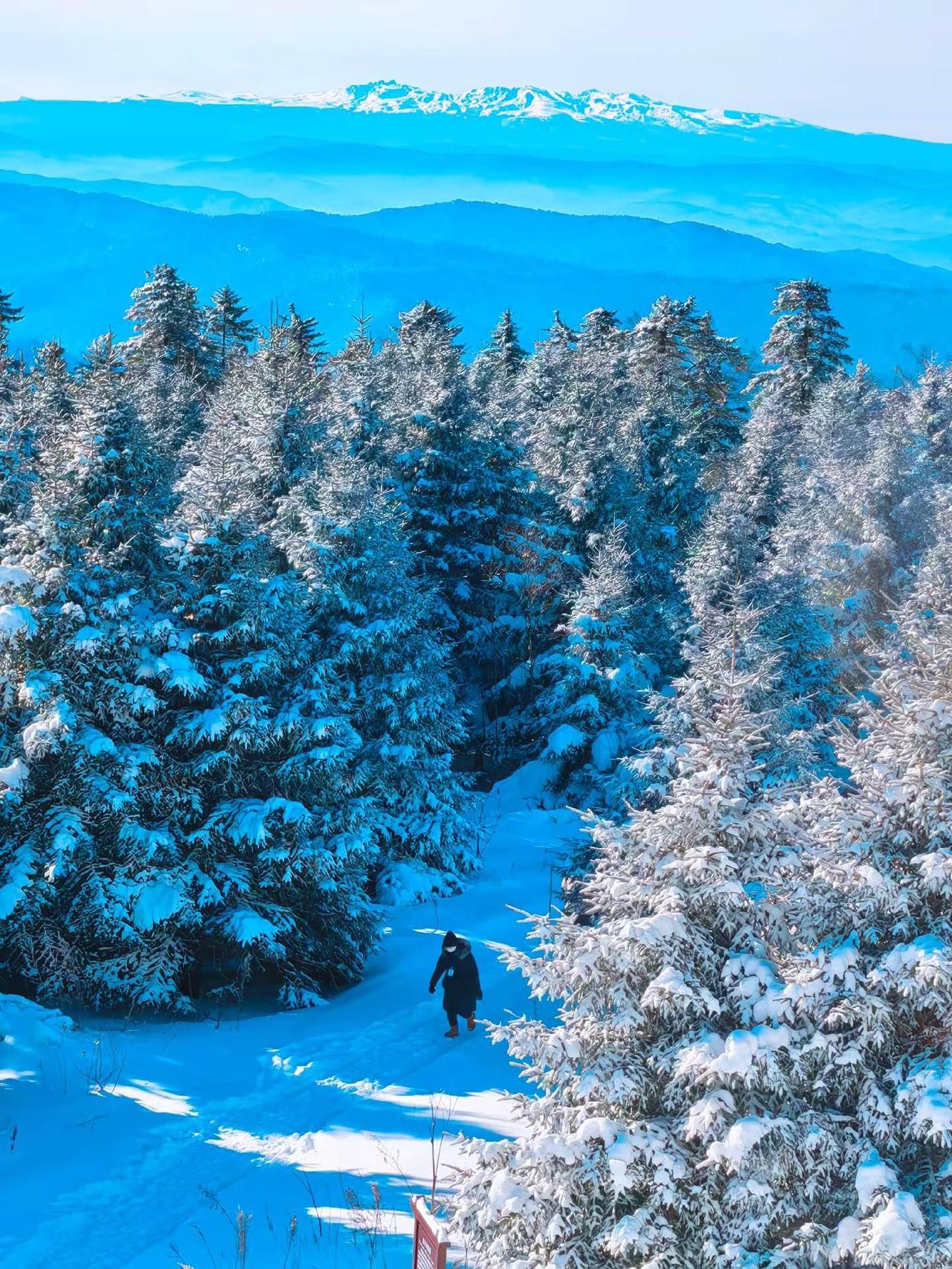 林海雪原，冰雪王国，冬天美的不要不要的，夏秋季山野菜冠绝长白山区域。延吉或长白山