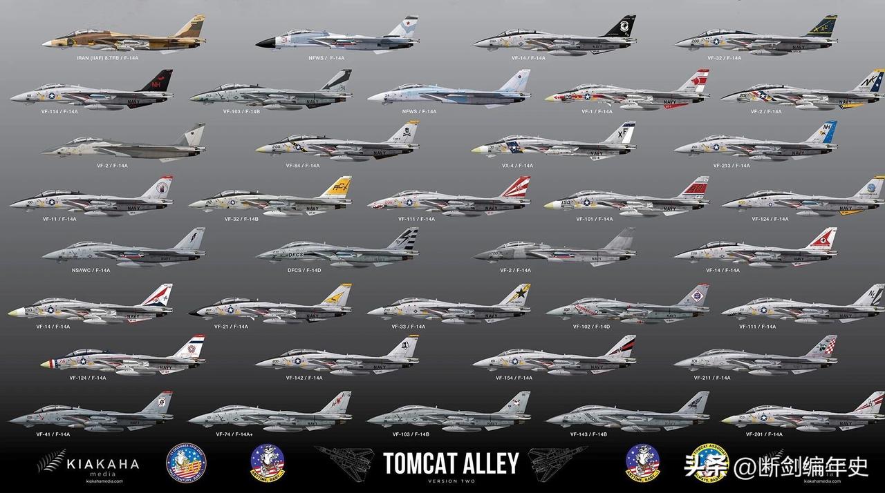 “雄猫”家族。F-14“雄猫”是美国格鲁曼公司为海军打造的传奇重型舰载战斗机，1