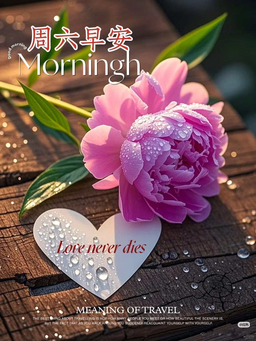 ²⁰²⁵/₁₂.₂₇ᵕ̈❄️周末愉快，抹去过往的事情和人。日子咱慢慢过，快