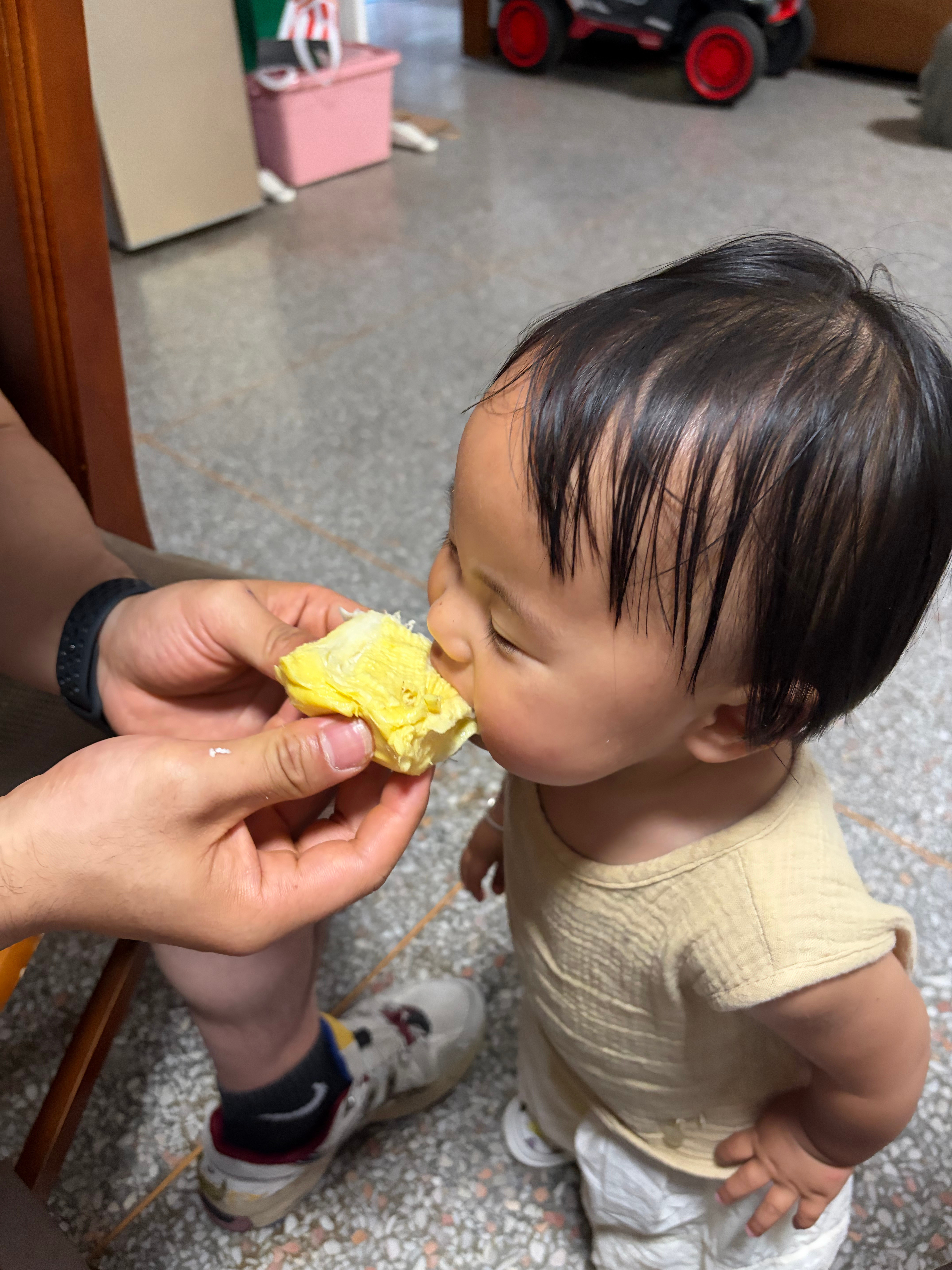 人类幼崽爱上了