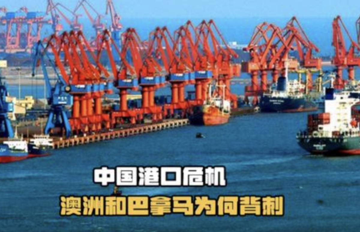 俄罗斯专家现在提出这样一个想法，现在澳大利亚跟巴拿马都要收回中国的港口，中国也可