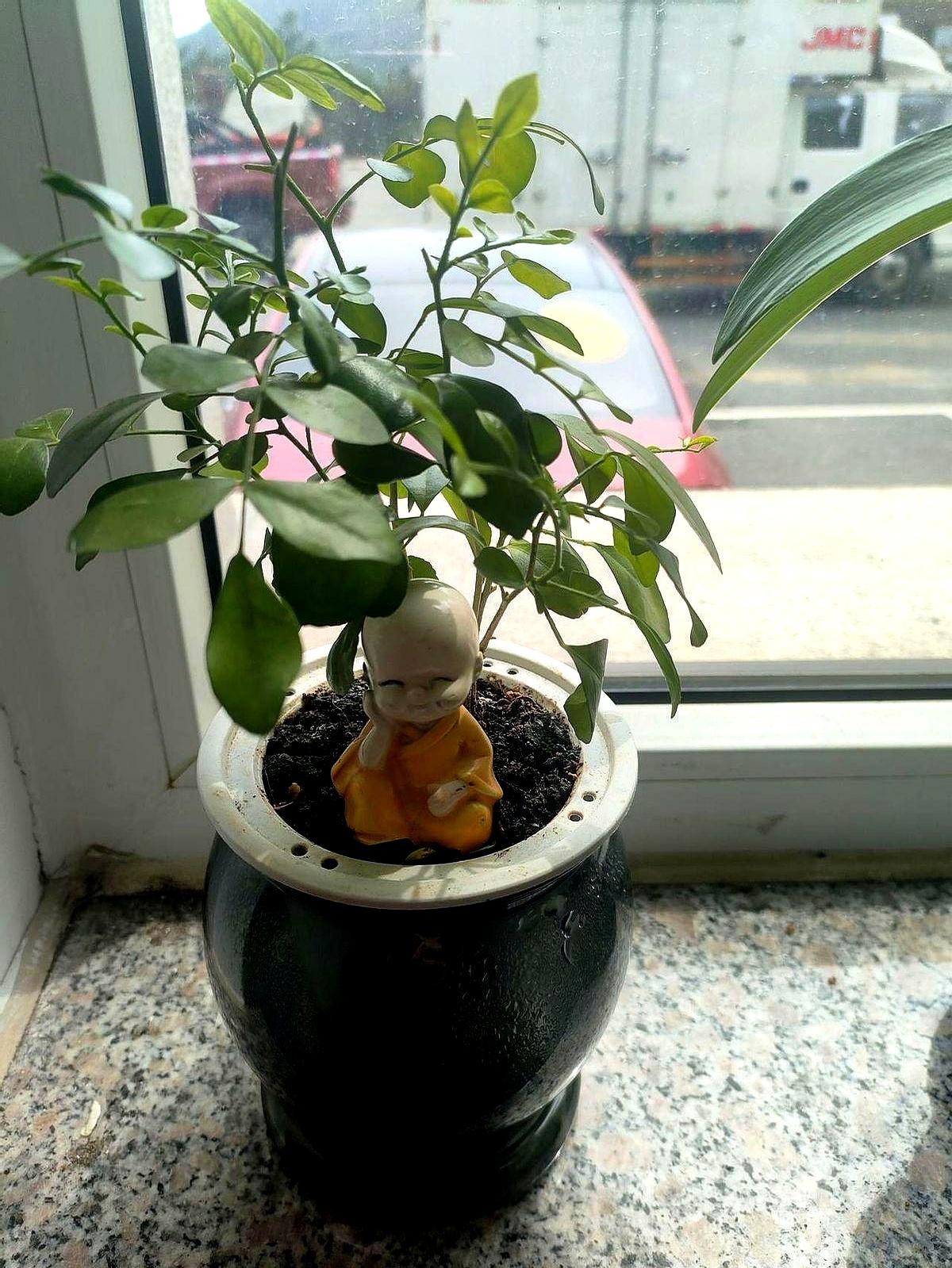 考研成绩一出来，宿舍静得连撕胶带都像在割心！六个人，四个没考上，瞬间活出四种人