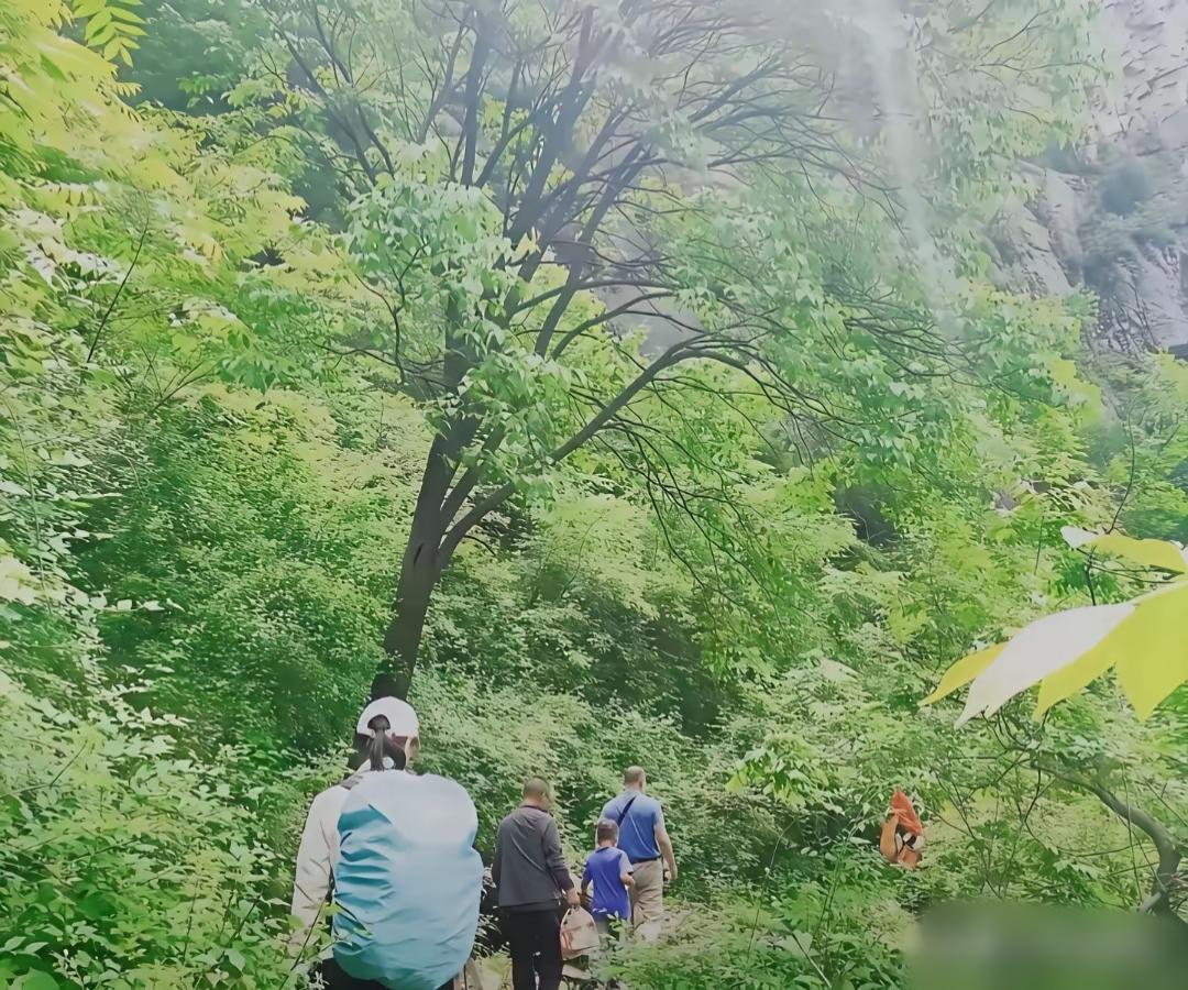 你们看到这样的环境会害怕吗？反正我会。不知道程梦圆有多大的胆子，一个女孩子，孤