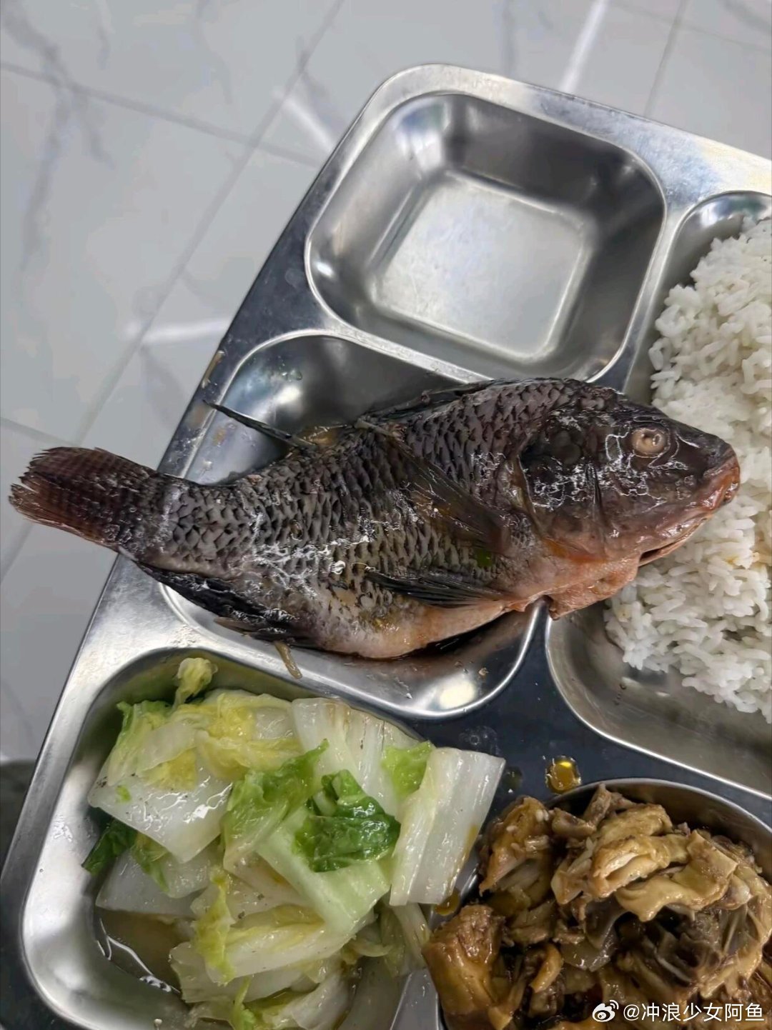 从未见过如此栩栩如生的鱼​​​