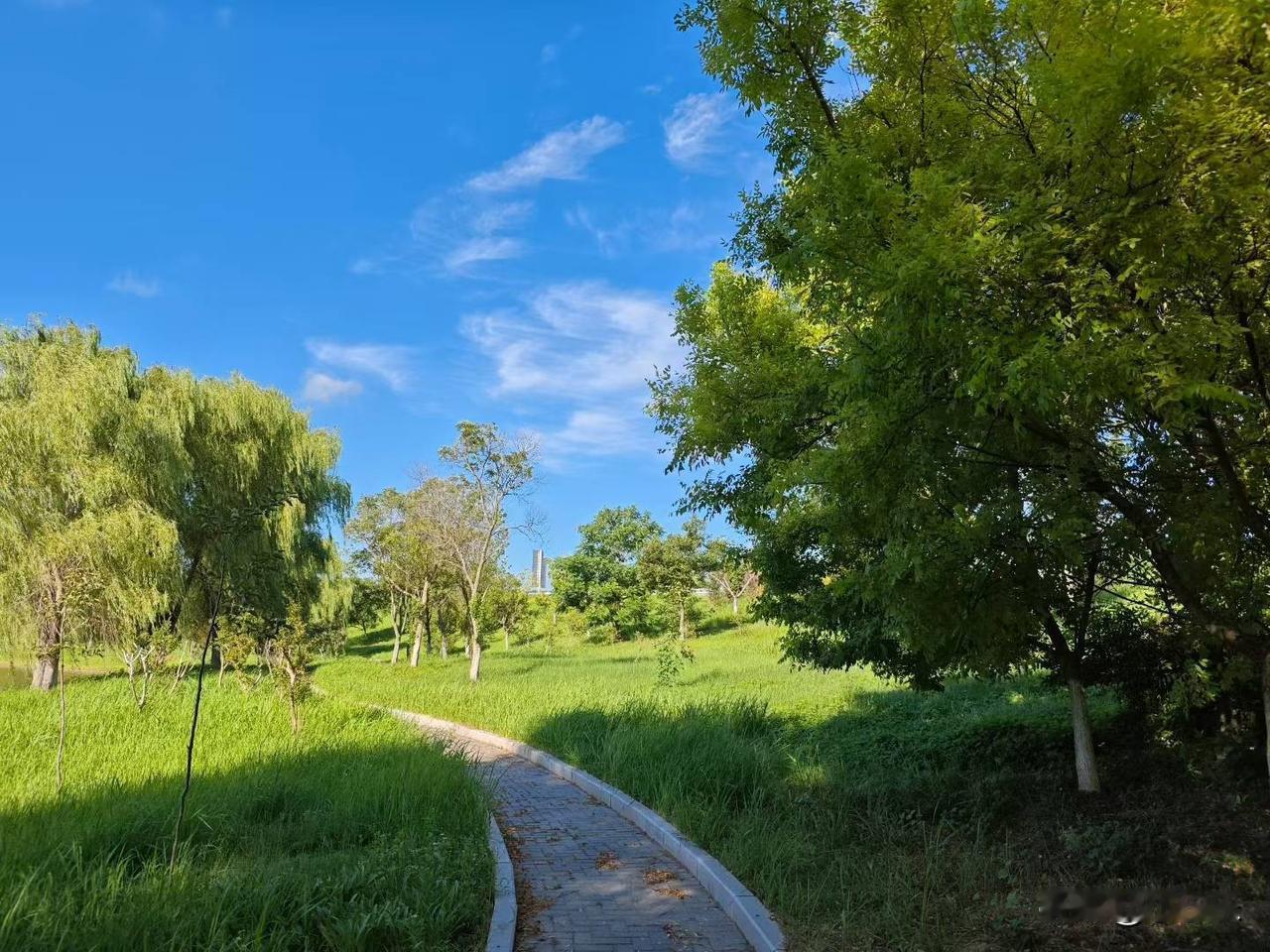 暑假中单位有3个同事顺利转岗，由教育行业步入了事业编。一位同事考上了区民政局，一