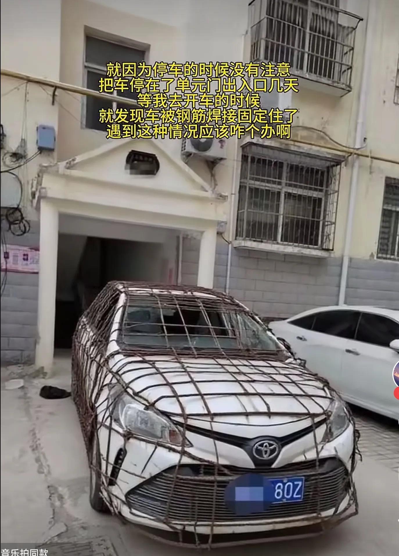 只能说三个字：牛牛牛