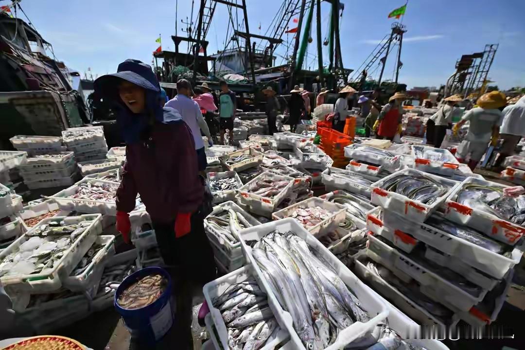 一出水就死？舟山老板进货撞见1条活的，老渔民：40年头一回捕到常说舟山是东