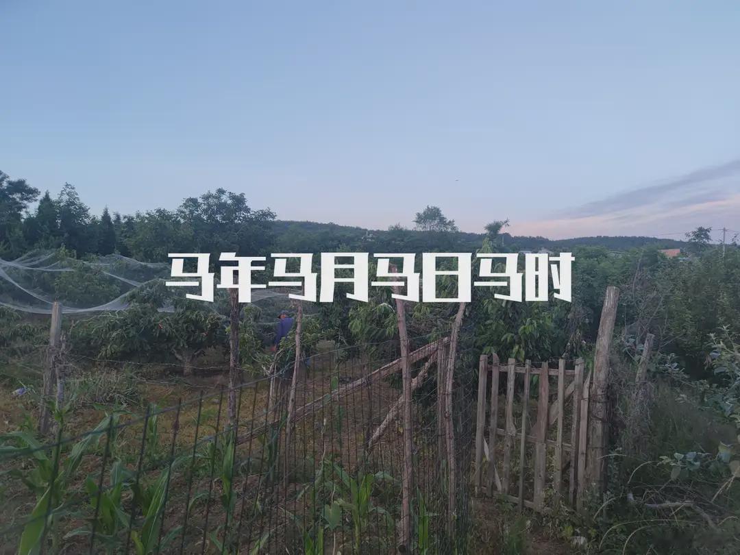 明日“马年马月马日马时”相聚首，记得：1要出，2不去，吃3样丙午马年遇上午月