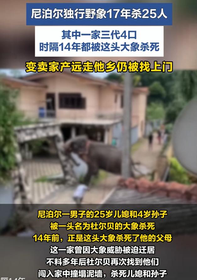 太恐怖了！7月8日报道，尼泊尔一男子表示，自家被一头大象追杀了14年。之前这头大